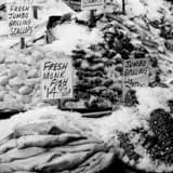 Square Fresh Fish at Seattle Public Market landscape black and white Photography