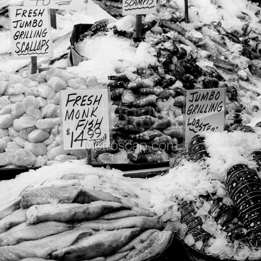 Fresh Fish at Seattle Public Market -- Seattle Black and White Photography