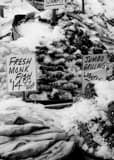 Vertical Fresh Fish at Seattle Public Market landscape black and white Photography