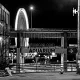 Square The Seattle Ferris Wheel at Night landscape black and white Photography