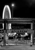 Vertical The Seattle Ferris Wheel at Night landscape black and white Photography