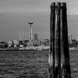 Square The Seattle Harbor landscape black and white Photography