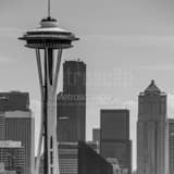 Square The Seattle Skyline landscape black and white Photography