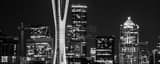 Panoramic The Seattle Space Needle at Night landscape black and white Photography