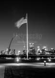 Vertical The American Flag Above the Gateway Arch black and white Photos
