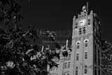 Horizontal The Anheuser Busch Main Brewhouse black and white Photos