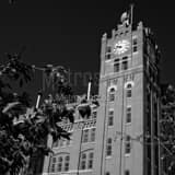 Square The Anheuser Busch Main Brewhouse black and white Photos