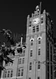 Vertical The Anheuser Busch Main Brewhouse black and white Photos