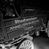 Square An Anheuser Busch Budweiser Wagon black and white Photos