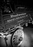 Vertical An Anheuser Busch Budweiser Wagon black and white Photos