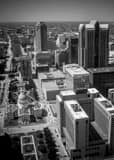 Vertical Saint Louis from the Gateway Arch Observatory black and white Photos