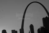 Horizontal Birds Swirl Around the Gateway Arch over Saint Louis black and white Photos
