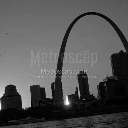 St Louis Black and White Photos of Birds Swirl Around the Gateway Arch over Saint Louis Birds Swirl Around the Gateway Arch over Saint Louis -- St Louis Black and White Photos