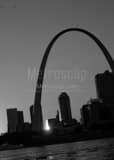 Vertical Birds Swirl Around the Gateway Arch over Saint Louis black and white Photos