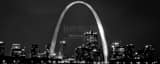 Panoramic The St Louis Arch and Skyline at Night black and white Photos
