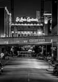 Vertical St Louis Cardinals New Busch Stadium black and white Photos