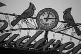 Horizontal The St Louis Cardinals Clock in Busch Stadium Framed Photos