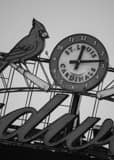 Vertical The St Louis Cardinals Clock in Busch Stadium Framed Photos
