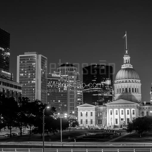 The St Louis County Courthouse Building -- St Louis Black and White Photos