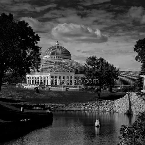The Como Park Conservatory -- St Paul Black and White Photography