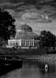 Vertical The Como Park Conservatory black and white Photography