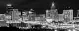 Panoramic St Paul at Night black and white Photography