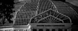 Panoramic The Marjorie McNeely Conservatory black and white Photography