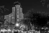 Horizontal Progress Plaza from Williams Park black and white Photos