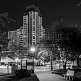 Square Progress Plaza from Williams Park black and white Photos