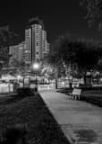Vertical Progress Plaza from Williams Park black and white Photos