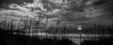 Panoramic St Pete Beach at Night black and white Photos
