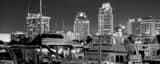 Panoramic The St Pete Skyline and Marina at Night landscape black and white Photography