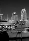 Vertical The St Pete Skyline and Marina at Night landscape black and white Photography