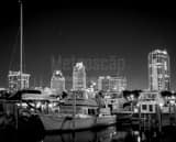 Horizontal The St Petersburg Skyline and Marina black and white Photos