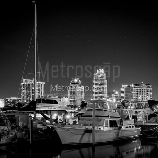 The St Petersburg Skyline and Marina -- St Petersburg Black and White Photos