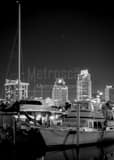 Vertical The St Petersburg Skyline and Marina black and white Photos
