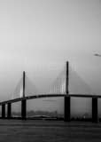 Vertical The Sunshine Skyway Bridge at Dusk black and white Photos