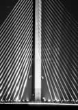 Vertical A Tight Shot of the Support Cables of the Sunshine Skyway Bridge black and white Photos