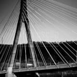 Square The Cable Stayed New Steubenville Bridge black and white Photos
