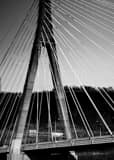 Vertical The Cable Stayed New Steubenville Bridge black and white Photos