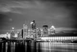 Horizontal Downtown Tampa at Night landscape black and white Photography