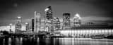 Panoramic Downtown Tampa at Night landscape black and white Photography