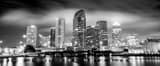 Panoramic The Downtown Tampa Skyline at Night black and white Photos