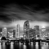 Square The Downtown Tampa Skyline at Night black and white Photos