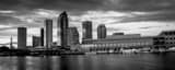 Panoramic The Downtown Tampa Skyline at Dusk black and white Photos