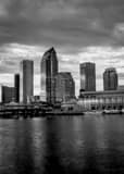 Vertical The Downtown Tampa Skyline at Dusk black and white Photos