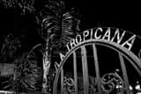 Horizontal La Tropicana Gate in Ybor City black and white Photos