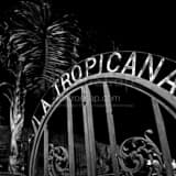 Square La Tropicana Gate in Ybor City black and white Photos