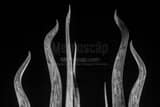 Horizontal The Top of the Sticks of Fire Sculpture in Plant Park black and white Photos