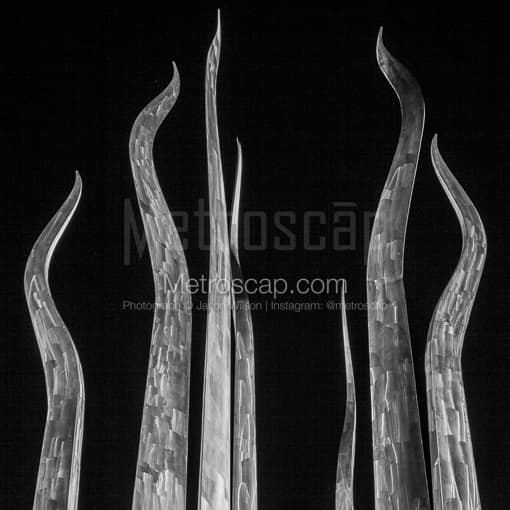 The Top of the Sticks of Fire Sculpture in Plant Park -- Tampa Black and White Photos